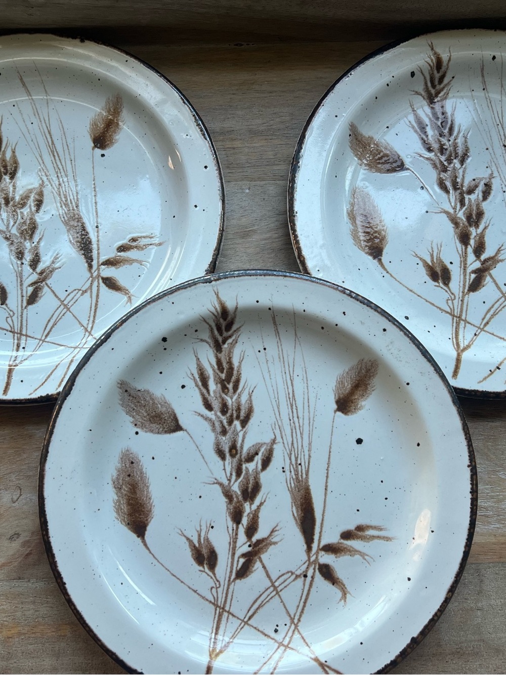 Vintage MIDWINTER WILD OATS ~ Stonehenge ~ Bread Plates ~ Set of 3